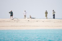 Landing - Loggerhead Key