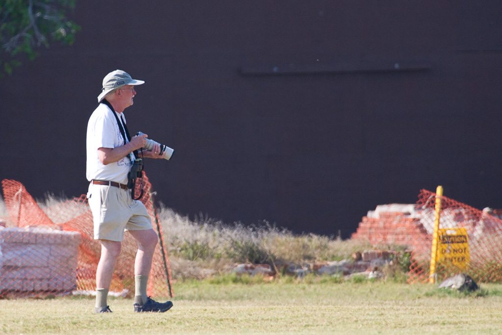 Allan - Stalking Upland Sandpiper