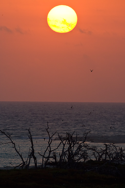 Sunrise over Bush Key