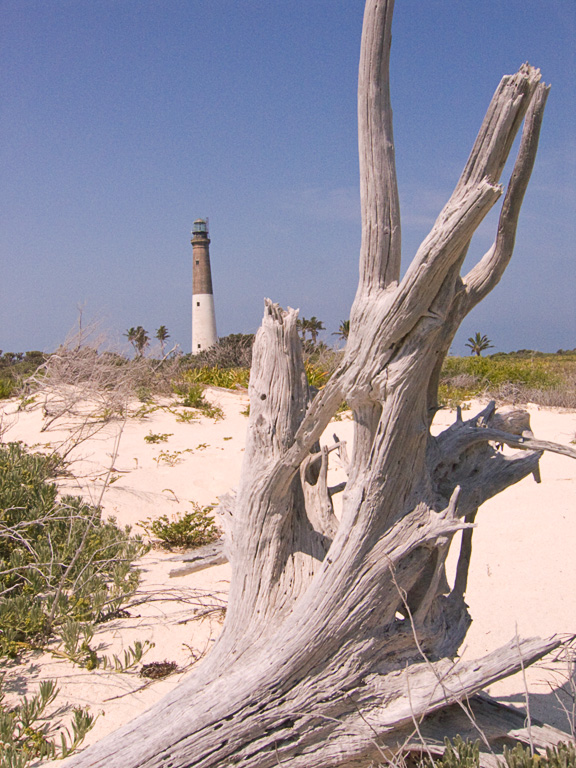 Loggerhead Key