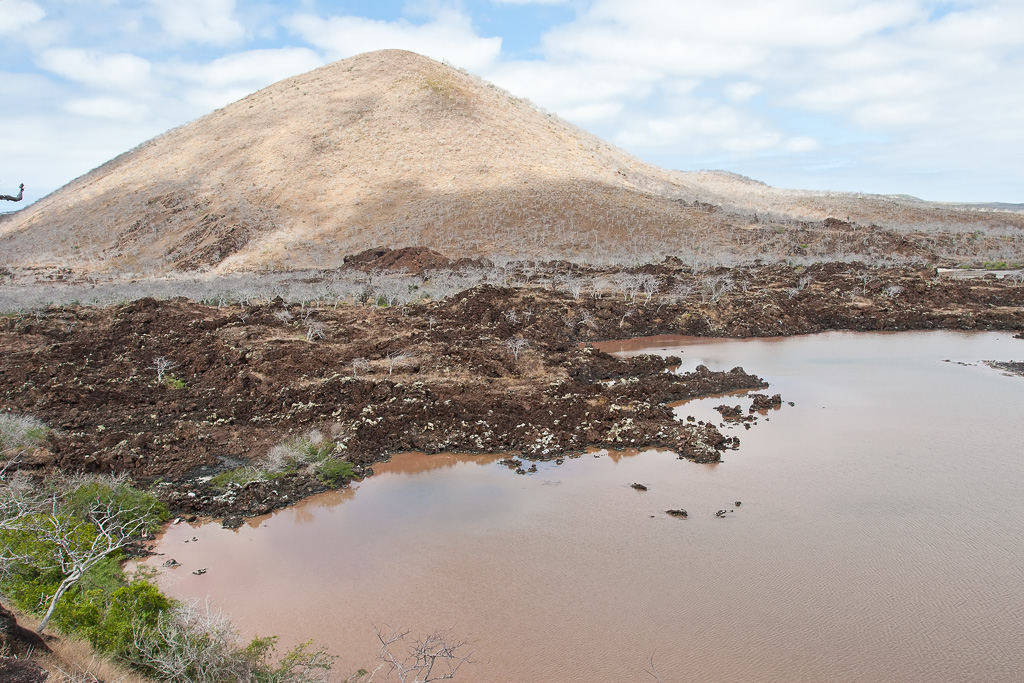 Punta Cormoran