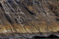 Graffiti on Isla Isabela