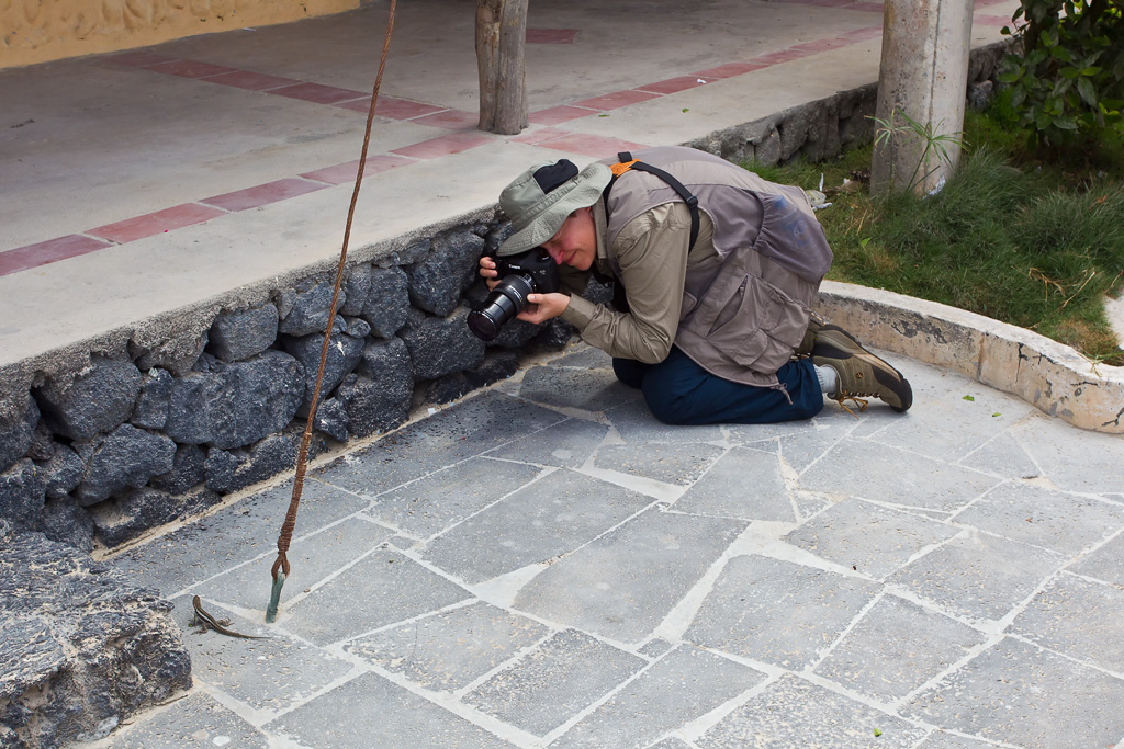 Lava Lizard & Mel in Puerto Villamil