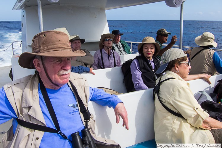 Field Guide Birders, Near-shore Pelagic, Kikiaola Small Boat Harbor