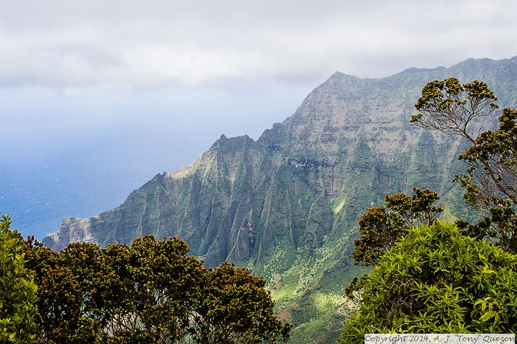 Waimea Canyon State Park