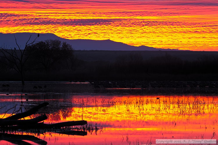 Overlooking the refuge main impoundment at sunrise.