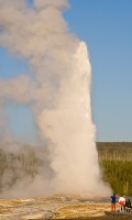 Old Faithful Geyser