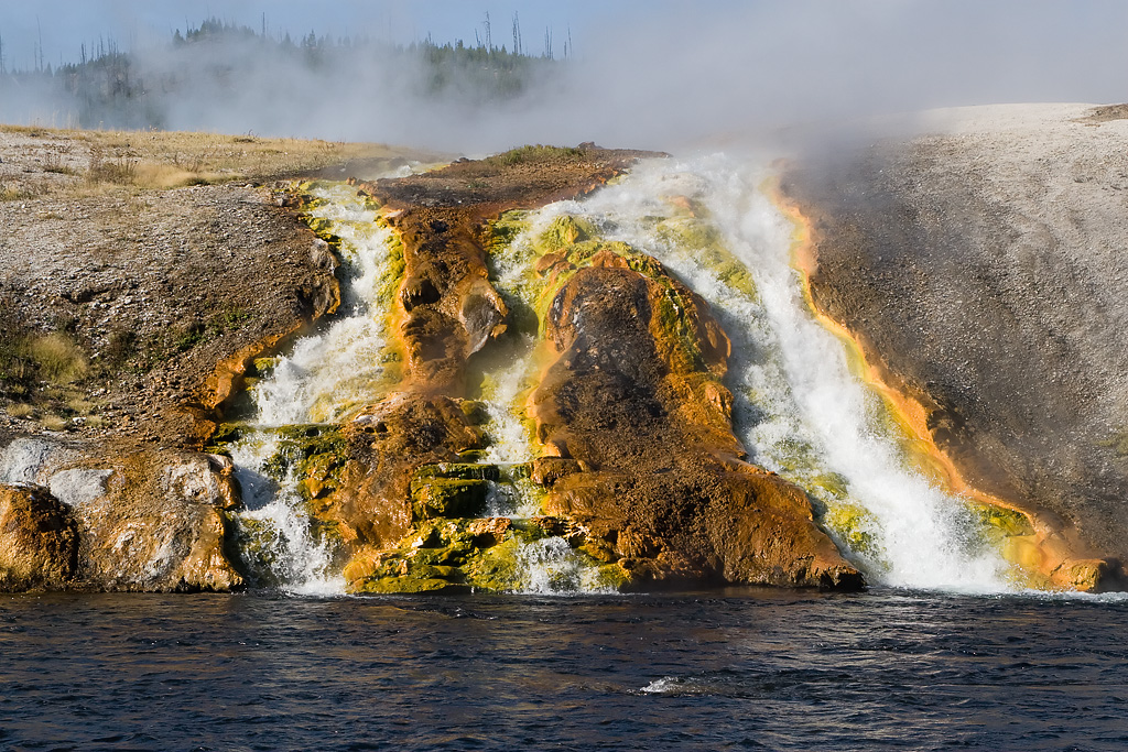 Thermophile and runoff from Midway Geyser Basin