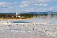 Great Fountain Geyser and White Cone Geyser Erupting