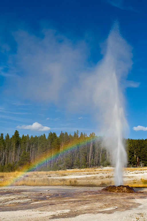 Pink Cone Geyser