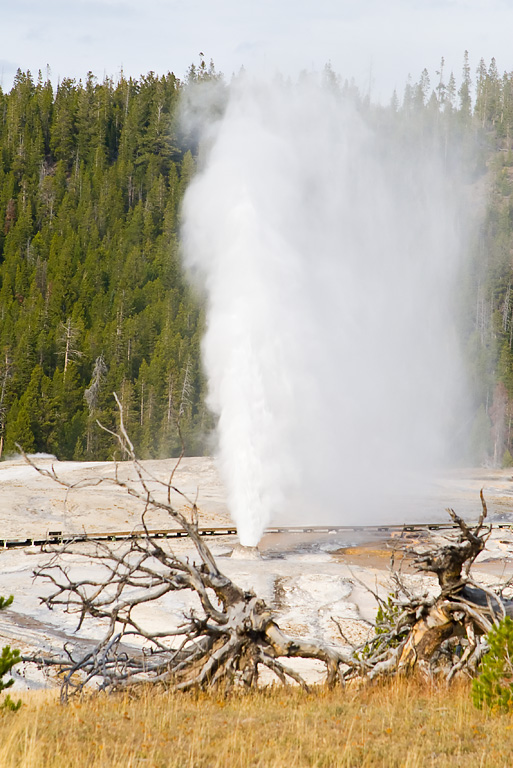 Beehive Geyser