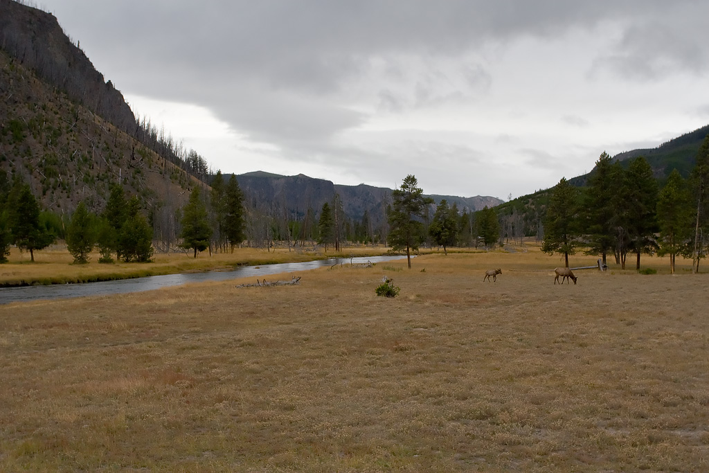 Madison River