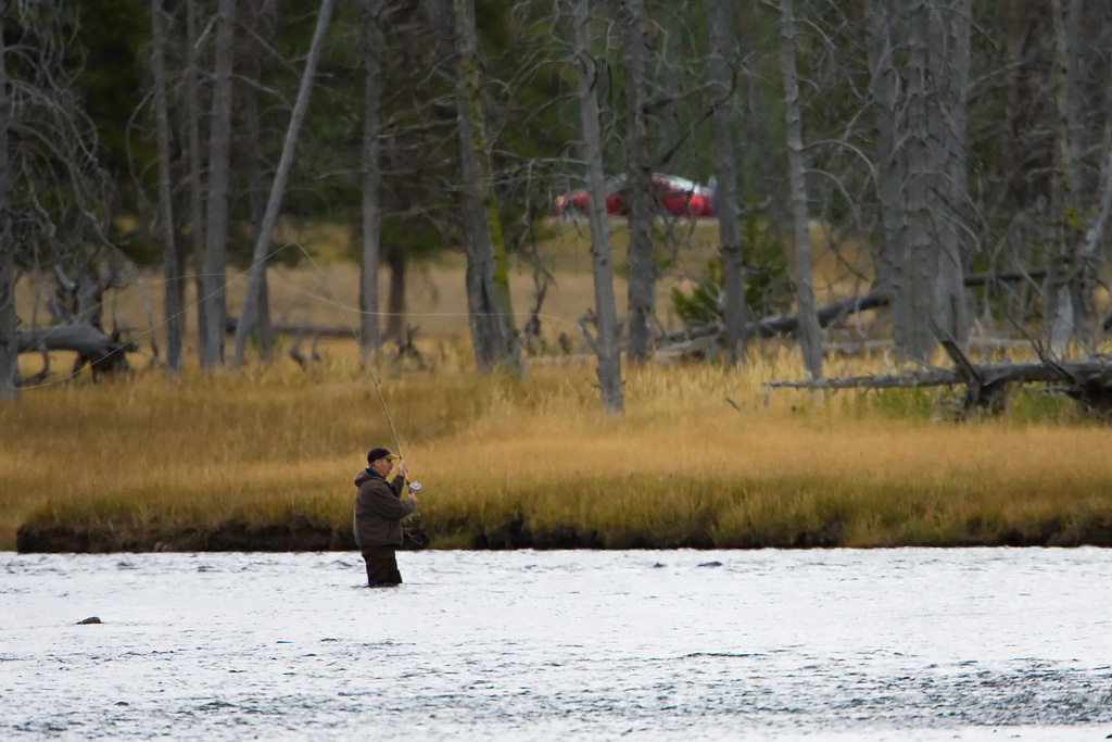 Fly Fisherman (Homo flycastus)